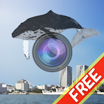 Whale Camera Apk