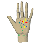 Cover Image of Download Palm Reading 1.1 APK