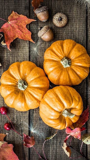 Android application Pumpkin Wallpaper screenshort