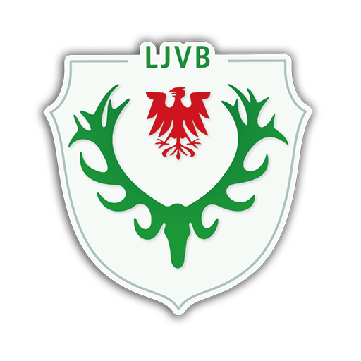 LJVB Auf Windows herunterladen