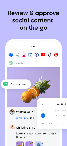 Screenshot of Planable Social Media Approval