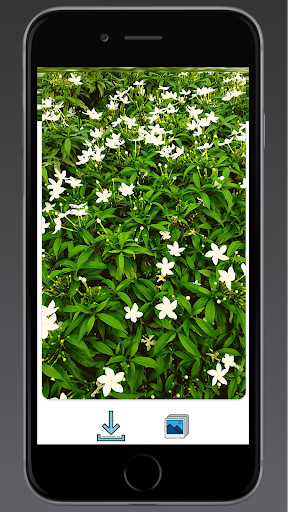 Naturemitra Unique Wallpapers Screen 2