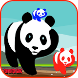 Panda Bear Games Free for Kids icon