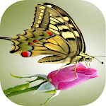 Cover Image of ดาวน์โหลด Butterflies (WAStickerApps)  APK