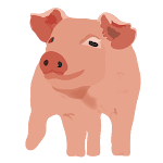 Cover Image of Download My Piggery Manager - Farm app  APK