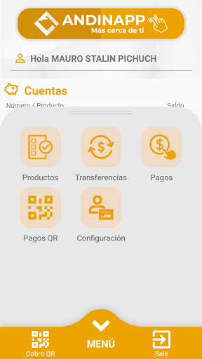 Andina App Screen 2