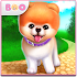 Boo - The Worlds Cutest Dog