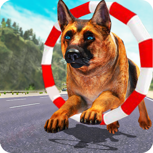 Dog Training: Dog Games 1.8 Icon
