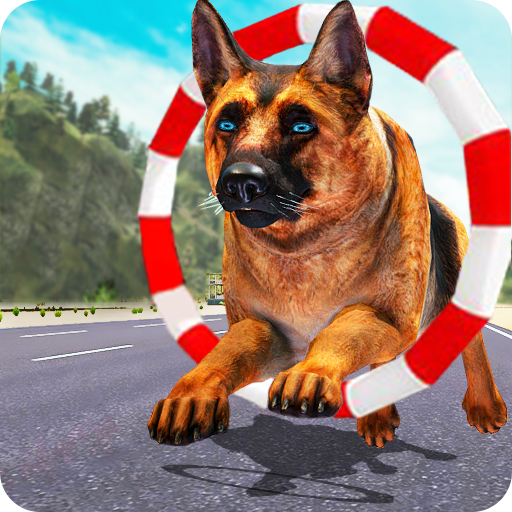 Dog Training: Dog Games  Icon