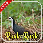 Cover Image of Descargar Suara Pemikat Burung Ruak Ruak Ampuh Offline 1.0 APK