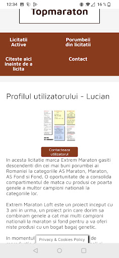 Porumbei Maraton Screen 2