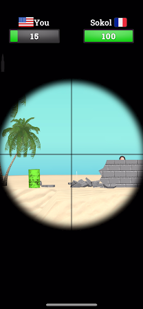 Game screenshot Shoot & Hide hack