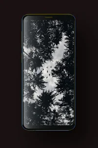 Black Wallpaper HD,GIF