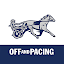 Off And Pacing: Horse Racing