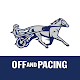 Off And Pacing: Horse Racing
