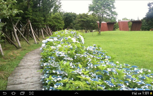 JeJu Pictures(圖9)-速報App
