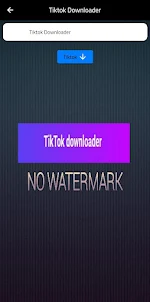 TTK Downloader