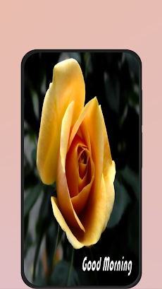 good morning rose imagesのおすすめ画像3
