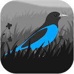 Cover Image of 下载 Grayland 1.9.35.00010 APK