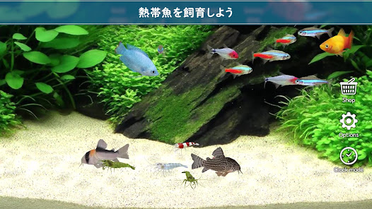 スクリーンショット画像