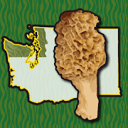 Washington NW Mushroom Forager Map Boletes Morels