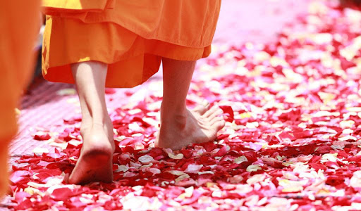 Provérbios Chineses