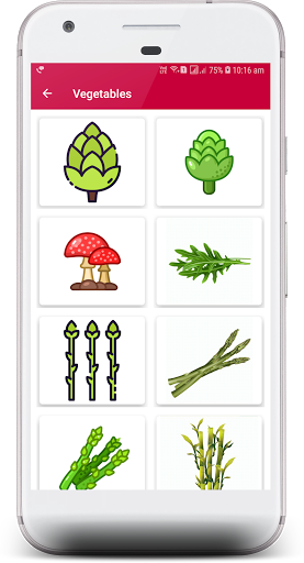 Food Kit 2021  Fruits, Vegetables and Ice Creams.