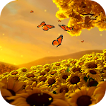 Cover Image of ดาวน์โหลด Video Wallpapers: Sunflowers H  APK