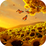 Video Wallpapers: Sunflowers HD