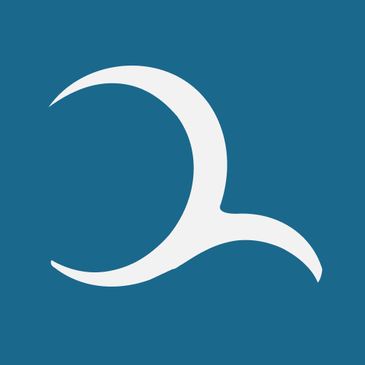 Deepnrise logo