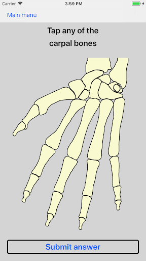 Bones of the body Screen 2