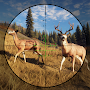 Wild Hunting Clash-Shooting
