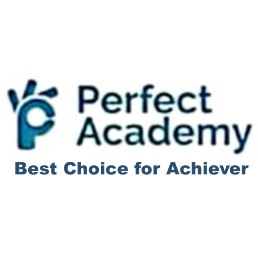 PERFECT ACADEMY logo