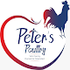 PETER'S POULTRY Baixe no Windows