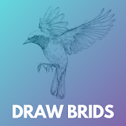 How to draw birds step by step easily