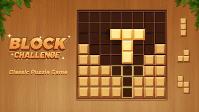 Wood Block Challenge poster 17
