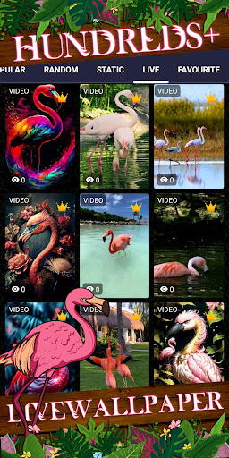 flamingo wallpaper Screen 3