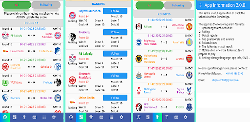 Bundesliga League Matches
