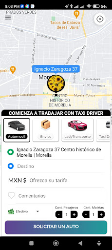 Taxi Driver Usuarios Screen 2