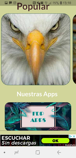 Águilas Fondos de Pantalla Screen 2