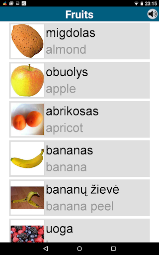 Screenshot of Learn Lithuanian  50 languages