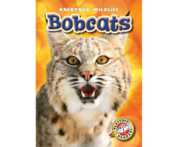 Obraz ikony: Bobcats