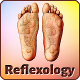 Body Reflexology with Hindi icon