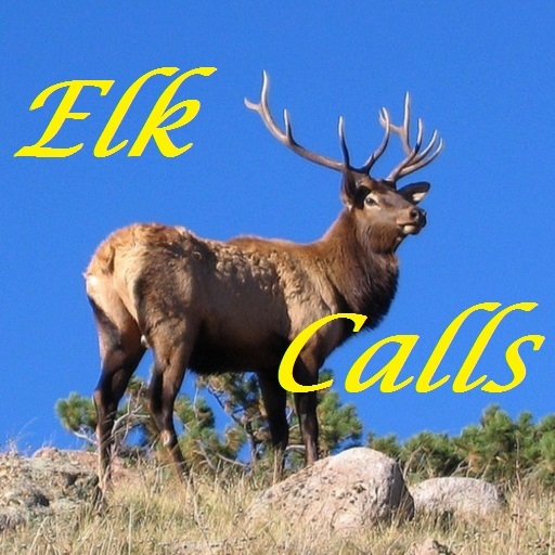 Elk Calls HD 1.1 Icon