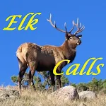 Elk Calls HD Apk