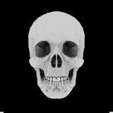 Skull 3D Live Wallpaper icon