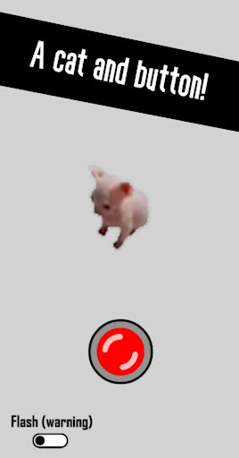 Android application Cat Fest screenshort