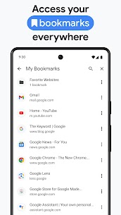 Google Chrome 8