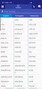 Portuguese Vietnamese Dictiona 2