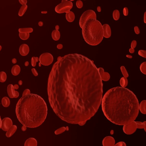 Blood Cells Live Wallpaper logo